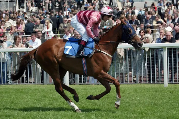 Framed Print : Tedstale Ridden By K.Darley York Races York Racecousre, York, England 14 June 2003 Date Framed Print : Tedstale Ridden By K.Darley York Races York Racecousre, York, England 14 June 2003 Date