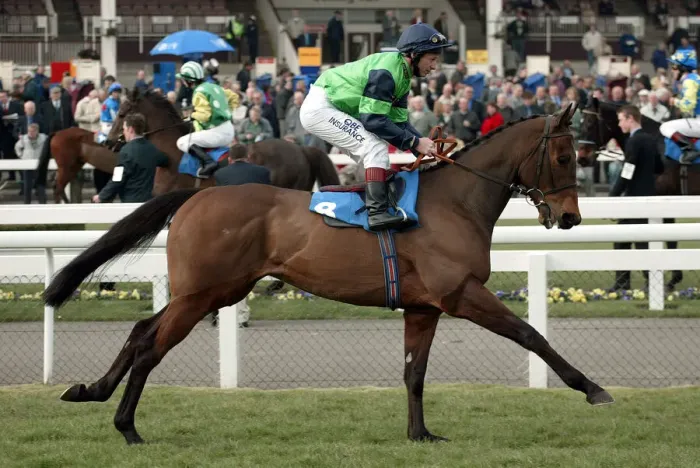 Framed Print : Tesio Ridden By T.Quinn Doncaster Lincoln Meeting 2003 Doncaster Racecourse Framed Print : Tesio Ridden By T.Quinn Doncaster Lincoln Meeting 2003 Doncaster Racecourse