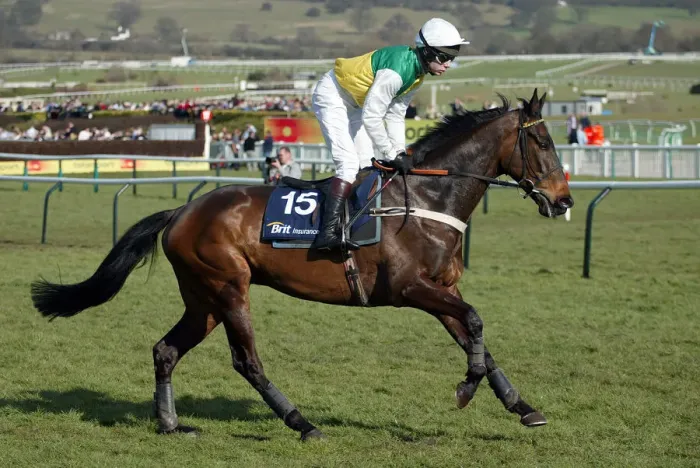 Framed Print : Thames Ridden By M.A.Fitzgerald Cheltenham Festival 2005 Cheltenham Racecourse Framed Print : Thames Ridden By M.A.Fitzgerald Cheltenham Festival 2005 Cheltenham Racecourse