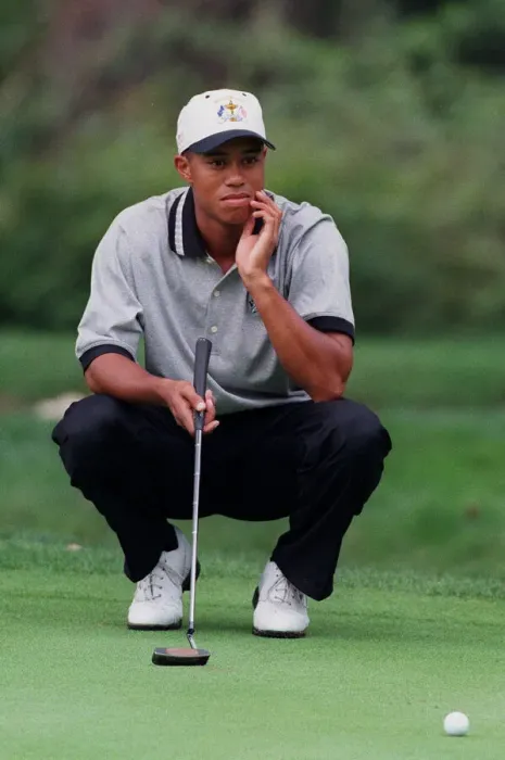 Framed Print : Tiger Woods Framed Print : Tiger Woods