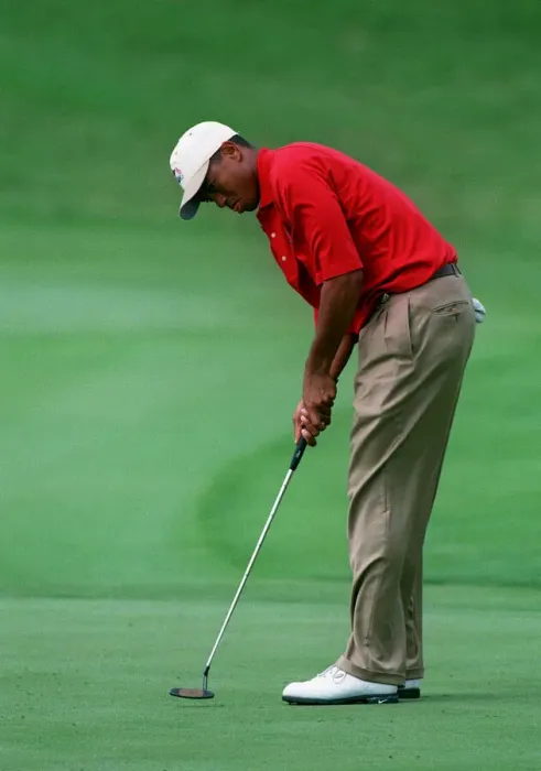 Framed Print : Tiger Woods Framed Print : Tiger Woods