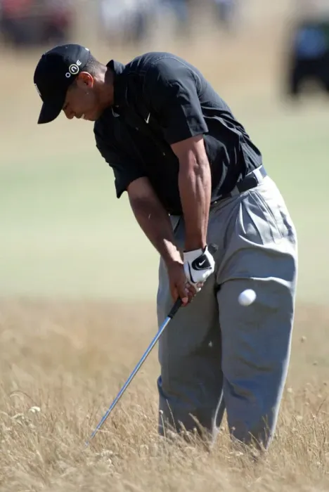 Framed Print : Tiger Woods Framed Print : Tiger Woods