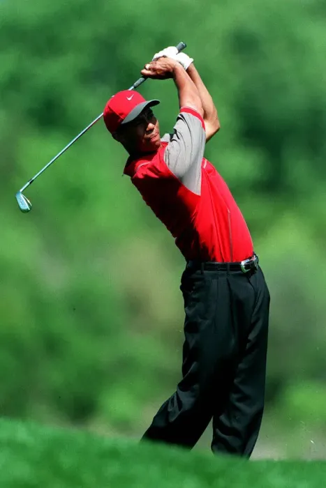 Framed Print : Tiger Woods Framed Print : Tiger Woods