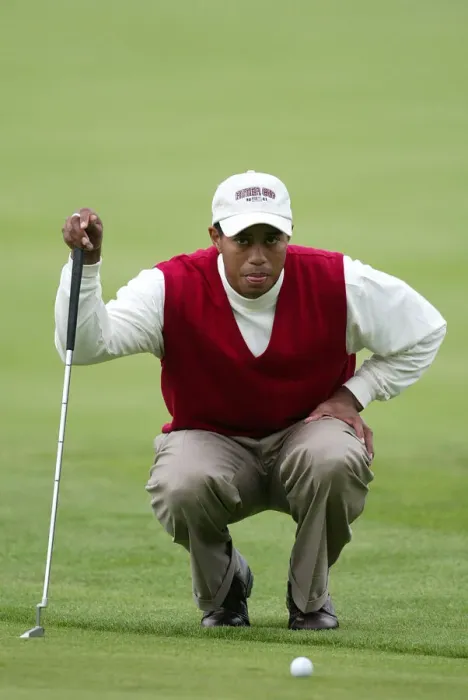 Framed Print : Tiger Woods Framed Print : Tiger Woods