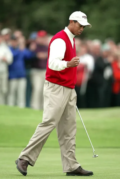 Framed Print : Tiger Woods Framed Print : Tiger Woods