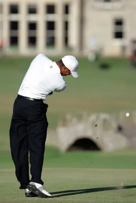Framed Print : Tiger Woods