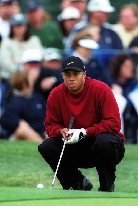 Framed Print : Tiger Woods Framed Print : Tiger Woods