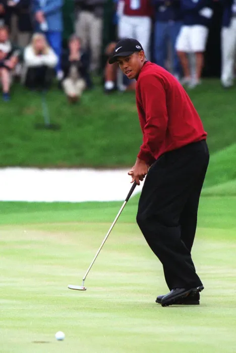 Framed Print : Tiger Woods Framed Print : Tiger Woods