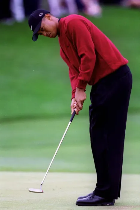 Framed Print : Tiger Woods Framed Print : Tiger Woods