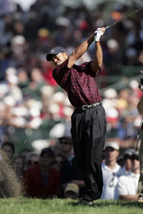 Framed Print : Tiger Woods Framed Print : Tiger Woods