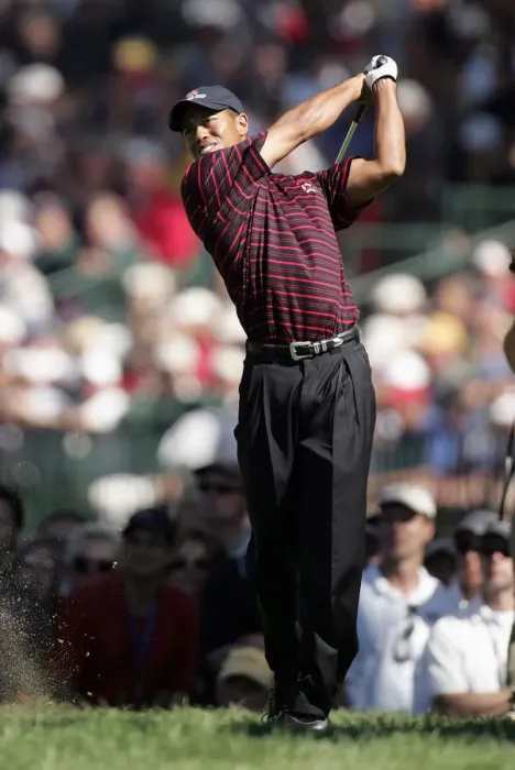 Framed Print : Tiger Woods Framed Print : Tiger Woods