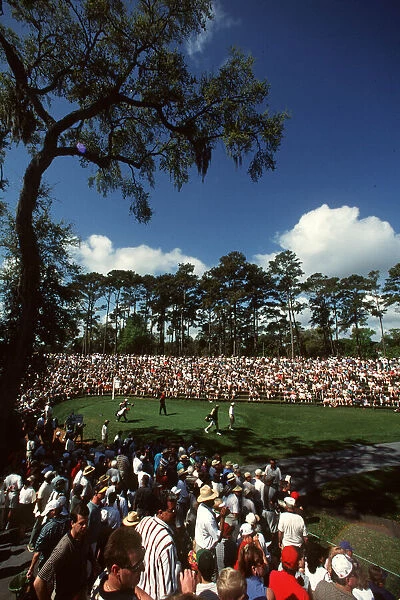 Tiger Woods & Crowds