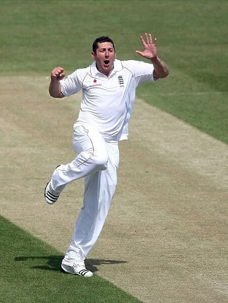 Tim Bresnan Celebrates Taking His 2nd Test Wicket