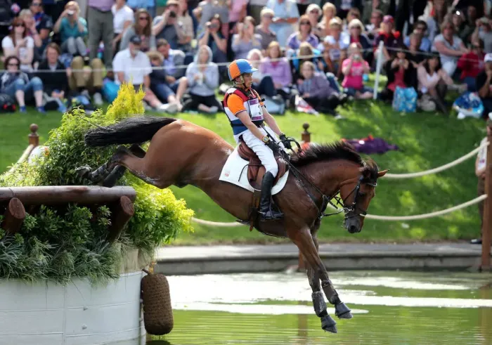 Framed Print : Tim Lips Holland London 2012 Olympic Games, Equestrian Framed Print : Tim Lips Holland London 2012 Olympic Games, Equestrian