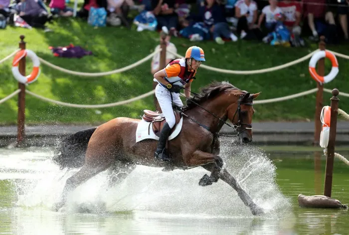 Framed Print : Tim Lips Holland London 2012 Olympic Games, Equestrian Framed Print : Tim Lips Holland London 2012 Olympic Games, Equestrian