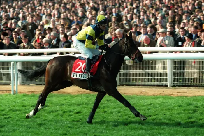 Framed Print : Tough Act Ridden By Graham Bradley 20 March 1998 Date: 20 March 1998 Framed Print : Tough Act Ridden By Graham Bradley 20 March 1998 Date: 20 March 1998