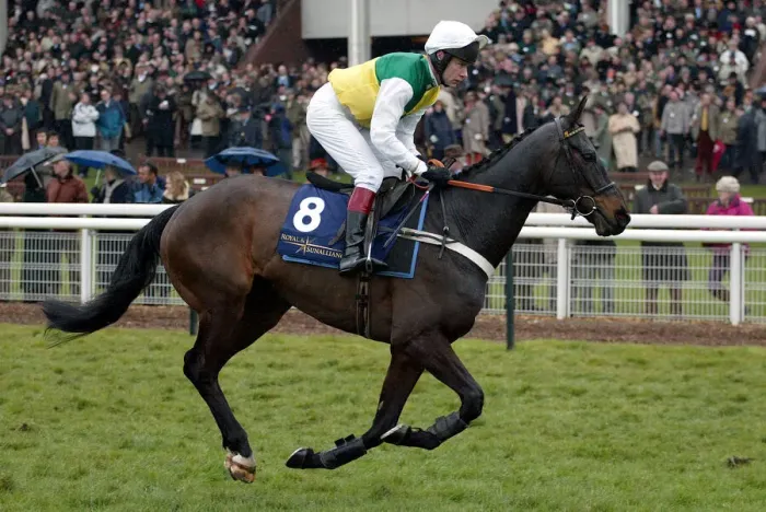 Framed Print : Trabolgan Ridden By M.A.Fitzgerald Cheltenham Festival 2005 Cheltenham Racecourse Framed Print : Trabolgan Ridden By M.A.Fitzgerald Cheltenham Festival 2005 Cheltenham Racecourse