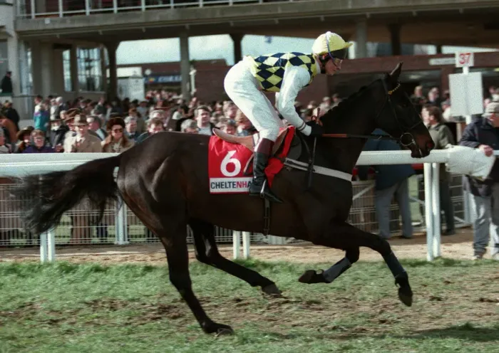 Framed Print : Travado Ridden By Richard Dunwoody 20 March 1995 Date: 20 March 1995 Framed Print : Travado Ridden By Richard Dunwoody 20 March 1995 Date: 20 March 1995