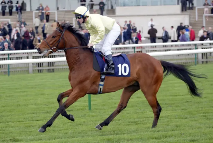 Framed Print : Trifti Ridden By S.Sanders Newmarket Craven Meeting Newmarket Racecourse Framed Print : Trifti Ridden By S.Sanders Newmarket Craven Meeting Newmarket Racecourse