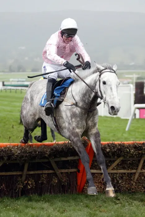 Framed Print : Tucacas Ridden By Tony Mccoy The Open 2002 Cheltenham Racecourse Framed Print : Tucacas Ridden By Tony Mccoy The Open 2002 Cheltenham Racecourse
