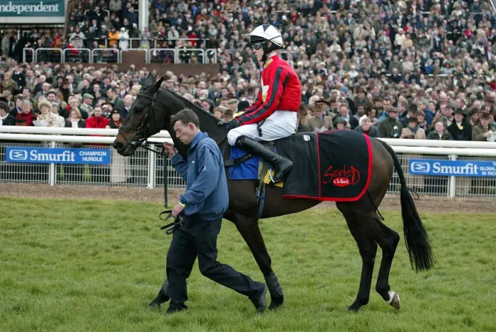 Framed Print : Turnium Ridden By James Davies Cheltenham Festival 2005 Cheltenham Racecourse Framed Print : Turnium Ridden By James Davies Cheltenham Festival 2005 Cheltenham Racecourse