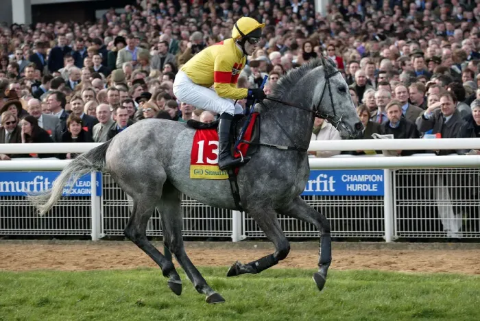 Framed Print : Valiramix Ridden By Tony Mccoy Cheltenham Festival Cheltenham Racecourse Framed Print : Valiramix Ridden By Tony Mccoy Cheltenham Festival Cheltenham Racecourse