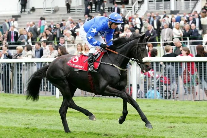 Framed Print : Veewouden Ridden By Kerrin Mcevoy York May Festival 2008 York Racecourse Framed Print : Veewouden Ridden By Kerrin Mcevoy York May Festival 2008 York Racecourse