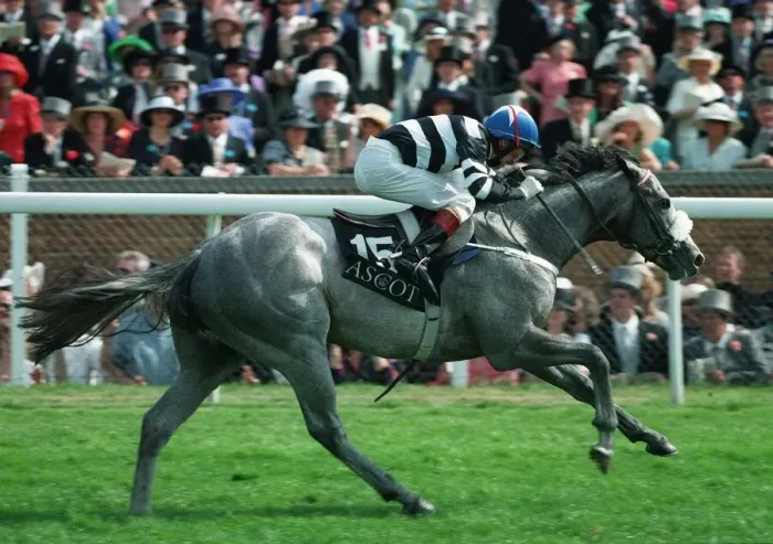 Framed Print : Verglas Wins Coventry Stks Framed Print : Verglas Wins Coventry Stks