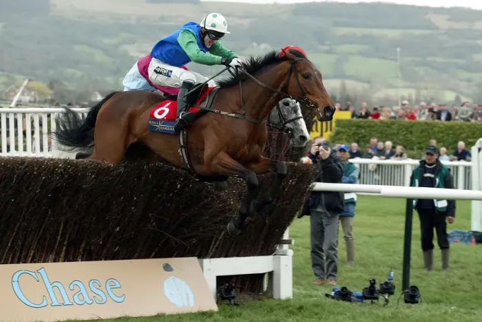 Framed Print : Our Vic Ridden By A.P.Mccoy Cheltenham Festival 2004 Cheltenham Racecourse Framed Print : Our Vic Ridden By A.P.Mccoy Cheltenham Festival 2004 Cheltenham Racecourse