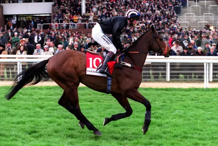 Framed Print : Wakeel Ridden By Carl Llewellyn 14 March 2000 Date: 14 March 2000 Framed Print : Wakeel Ridden By Carl Llewellyn 14 March 2000 Date: 14 March 2000