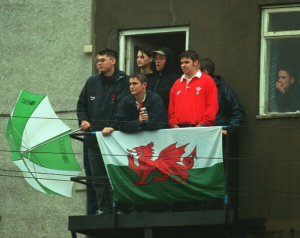 Wales Fans