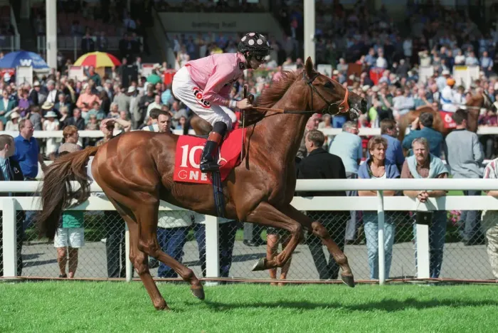 Framed Print : Wallace. Ridden By Richard Hughes 09 September 1999 Date: 09 September 1999