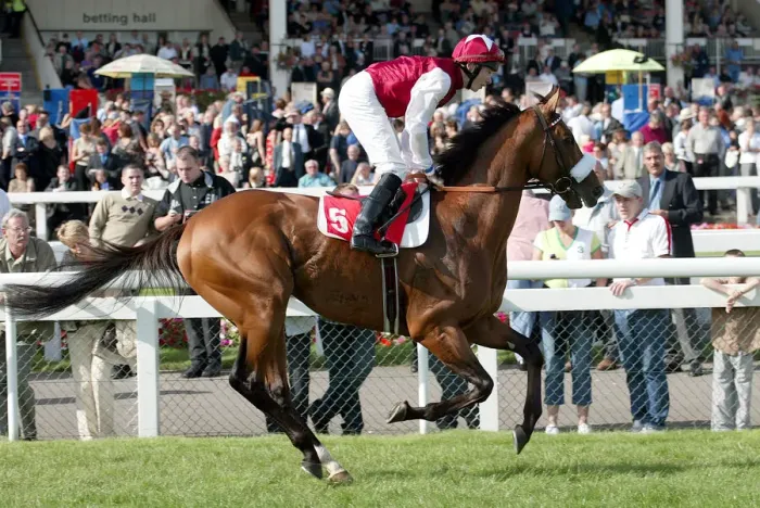 Framed Print : Wareed Ridden By J.P.Spencer St Leger Festival Doncaster Racecourse Framed Print : Wareed Ridden By J.P.Spencer St Leger Festival Doncaster Racecourse