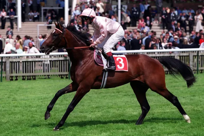 Framed Print : Wellbeing Ridden By Tony Quinn 06 May 2000 Date: 06 May 2000 Framed Print : Wellbeing Ridden By Tony Quinn 06 May 2000 Date: 06 May 2000