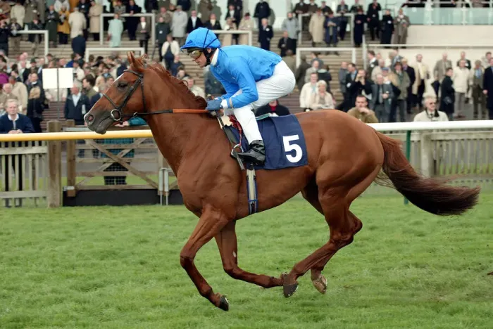 Framed Print : Wilful Ridden By L.Dettori The Sagitta Guineas Festival 2 Newmarket Racecourse Framed Print : Wilful Ridden By L.Dettori The Sagitta Guineas Festival 2 Newmarket Racecourse