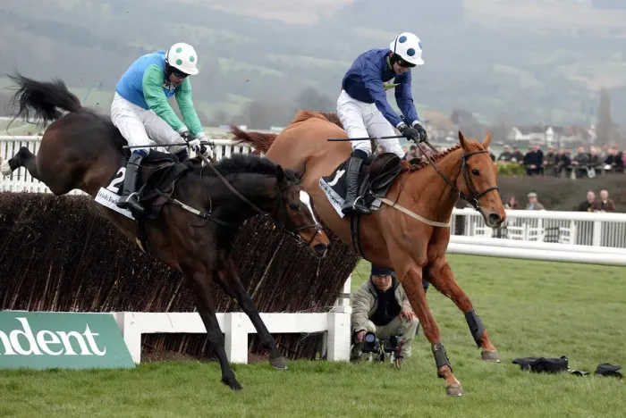 Framed Print : Winner Contraband & Ashley Brook