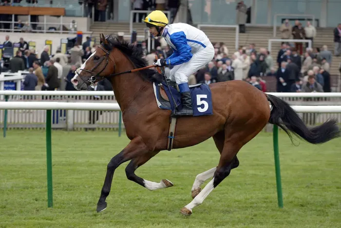 Framed Print : Woodcote Ridden By P.Robinson Newmarket Craven Meeting 2005 Newmarket Racecourse Framed Print : Woodcote Ridden By P.Robinson Newmarket Craven Meeting 2005 Newmarket Racecourse