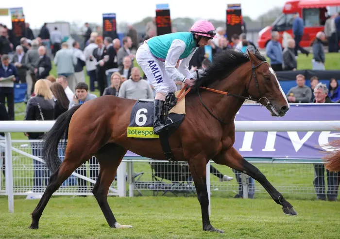 Framed Print : Workforce Ridden By Ryan Moore Dante Festival Framed Print : Workforce Ridden By Ryan Moore Dante Festival