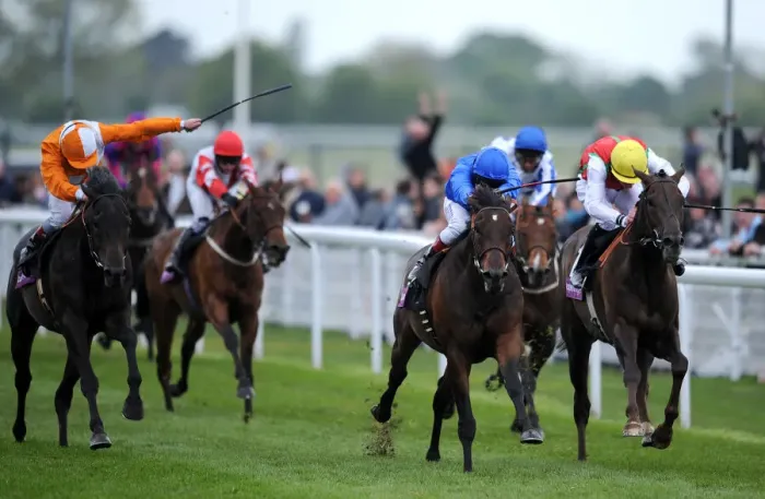 Framed Print : Yamel (C) Wins Ahead Of Mias Boy(L) & Philario (R) Framed Print : Yamel (C) Wins Ahead Of Mias Boy(L) & Philario (R)