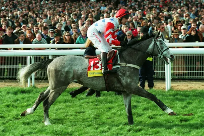 Framed Print : Zafarabad Ridden By R.Johnson 23 March 1999 Date: 23 March 1999 Framed Print : Zafarabad Ridden By R.Johnson 23 March 1999 Date: 23 March 1999