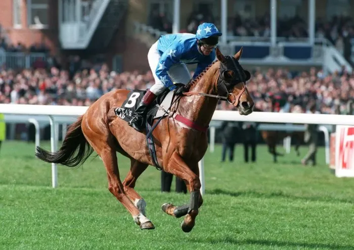 Framed Print : Zetas Lad Ridden By Graham Bradley 14 April 1995 Date: 14 April 1995 Framed Print : Zetas Lad Ridden By Graham Bradley 14 April 1995 Date: 14 April 1995