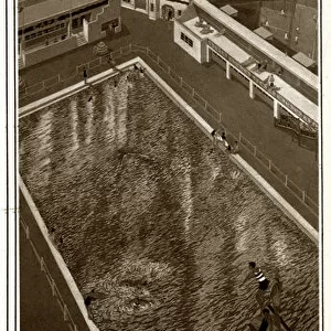 Advert for the Lagoon, swimming pool, Orpingon 1933