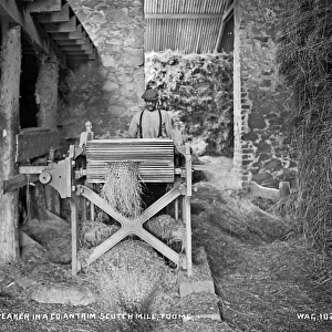 Flax Breaker in a Co. Antrim Scutch Mill, Toome
