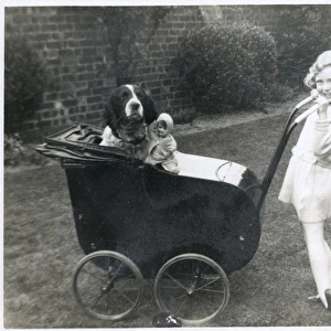 Girl in a garden with dog and doll in pram