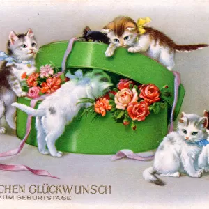 Kittens with box of flowers on a German birthday postcard