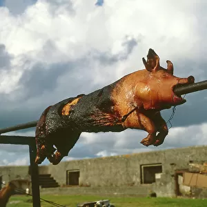 A roast pig on a spit, West Country