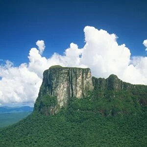 Venezuela FG 12116 Cerro Autana (1200 m alt). A Tepui towering above Rainforest Amazonas State. © Francois Gohier / ARDEA LONDON