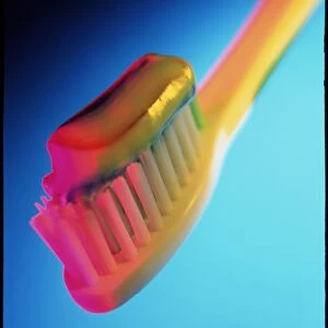 Close-up of toothpaste on a toothbrush