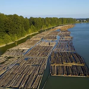 Log booms, Vancouver, Canada