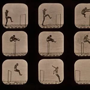 Muybridge motion study, 1870s C016 / 4562